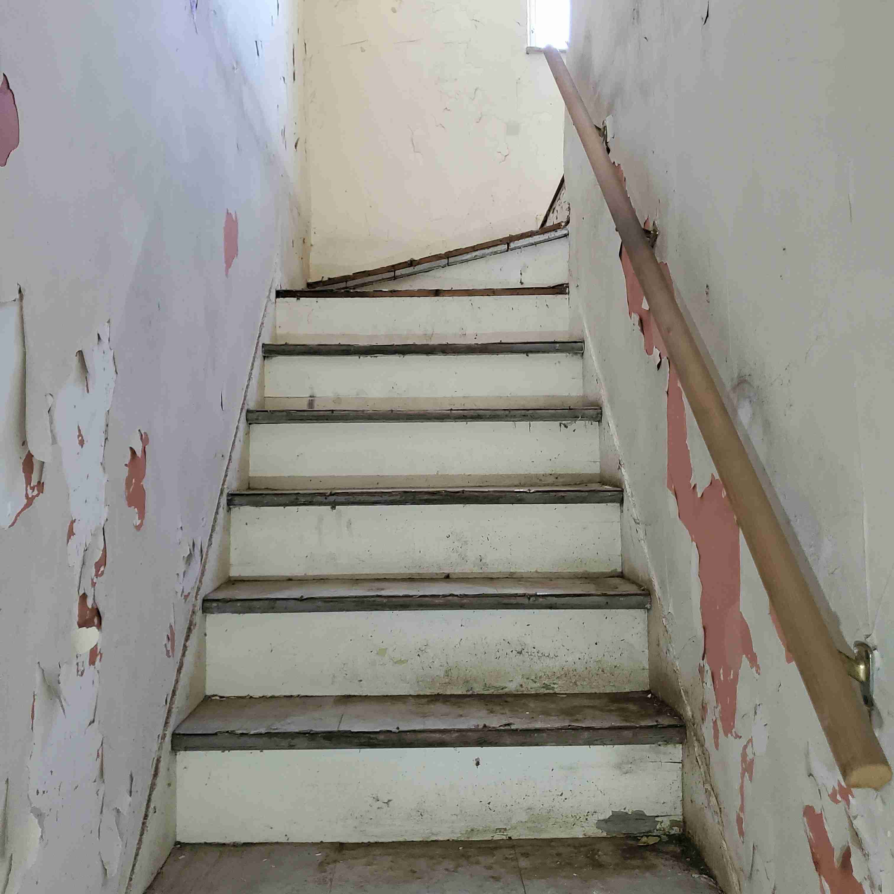 20200812_151007 (2).jpg